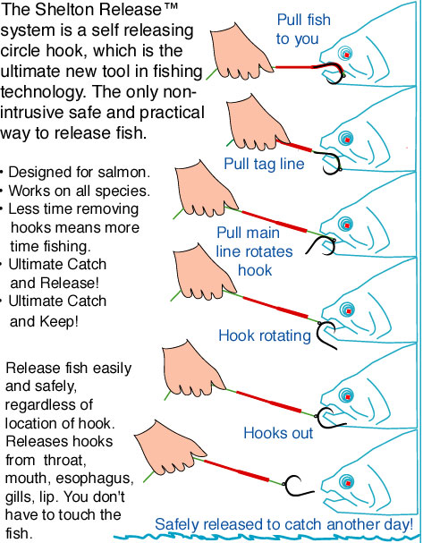 A Self-Releasing Fish Hook