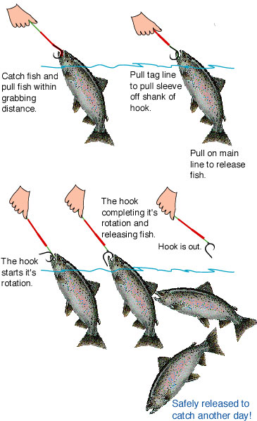 Catch EVERY Fish! HOOK EM ALL with a Circle Hook! How to set the